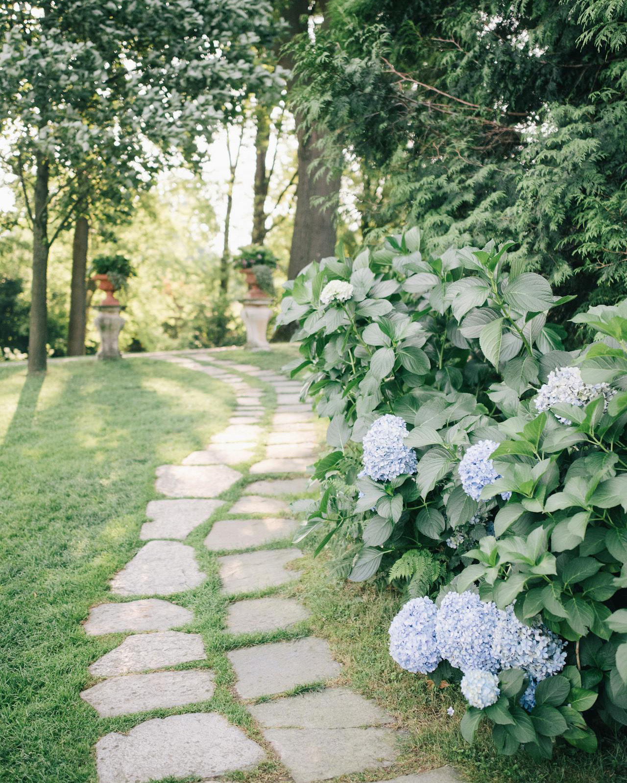 Chemin avec des hortensias